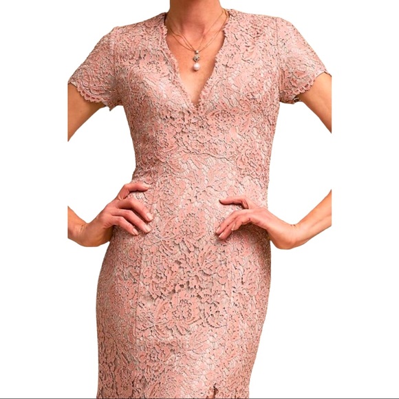 New Terani Couture x BHLDN Ceres 8 / M Pink Silver Allover Lace Rhinestone Gown - Picture 5 of 10